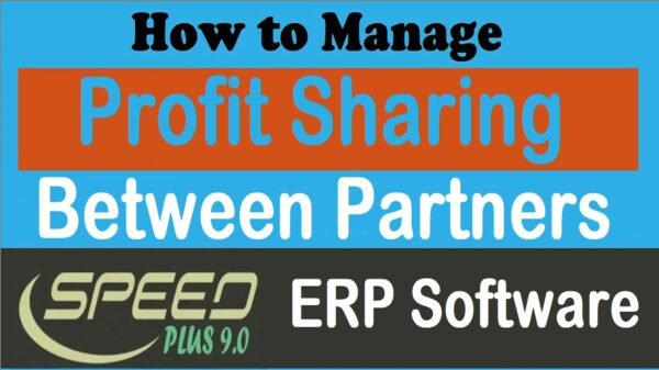 How to Share Profit between Partners